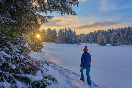 Woman walking on snow covered road in winter forest at sunset. Beautiful winter landscape.の写真素材