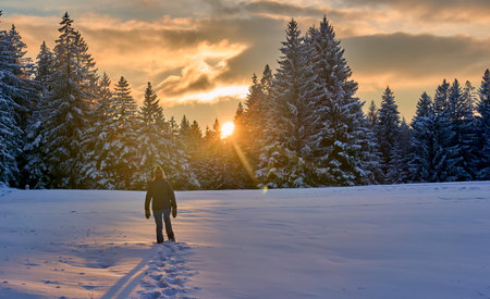 Man walking on snow in winter forest at sunset. Beautiful scenery.の写真素材