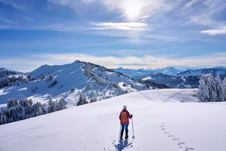 nice and active senior woman hiking in deep powder snow in the mountains of the Allgau alps near Balderschwang, Bavaria, Germanyの写真素材