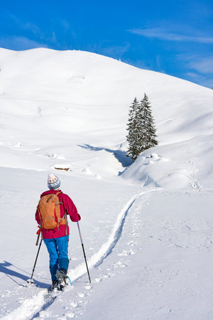nice and active senior woman hiking in deep powder snow in the mountains of the Allgau alps near Balderschwang, Bavaria, Germanyの写真素材