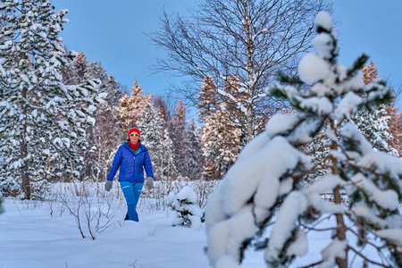 A woman in a red hat and blue jacket walks through the winter forest.の写真素材
