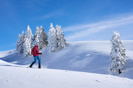 nice and active senior woman hiking in deep powder snow in the mountains of the Allgau alps near Balderschwang, Bavaria, Germanyの写真素材