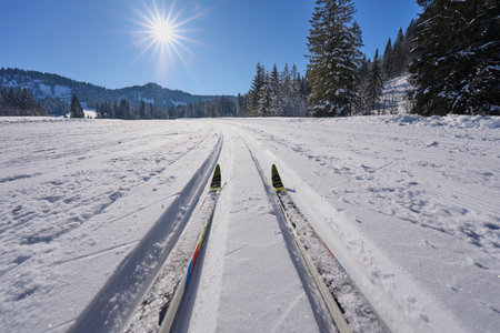 Cross-country skiing on the slope of the Carpathian Mountainsの写真素材