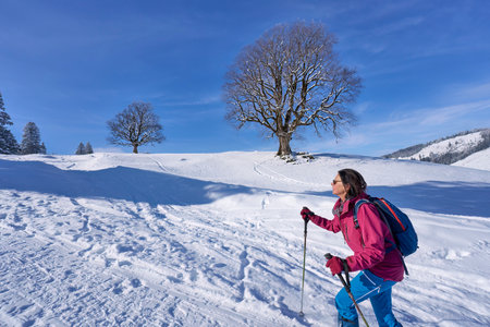 Winter hiking in the mountains on snowshoes with a backpack and tent.の写真素材