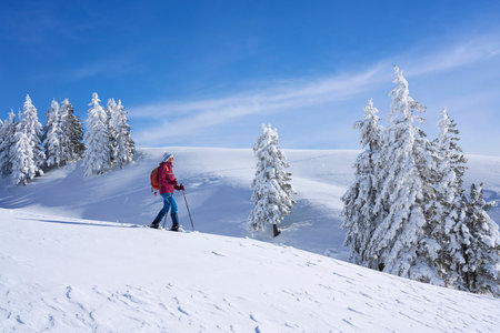 Hikers in winter mountains. Snowshoeing in the Alps.の写真素材
