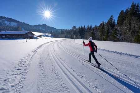 Cross-country skiing on a sunny winter day in the Austrian Alpsの写真素材