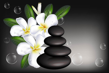 Plumeria withzen stone on spa backgroundのイラスト素材