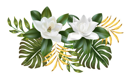 Magnolia flower and leaves on white background. Vector set of exotic tropical garden for wedding invitations and greeting card designのイラスト素材
