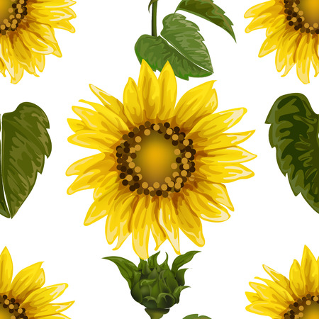 Seamless pattern with sunflowers on white background. Collection decorative floral design elements. Vintage hand drawn vector illustrationのイラスト素材