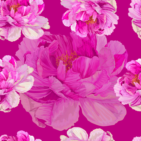Peonies pink color on the chocking pink background.  Romantic garden flowers illustration.のイラスト素材