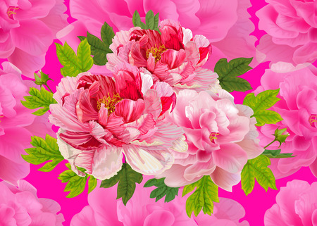 Seamless pattern,Peonies flral bouquet on chocking pink back ground,vector illustrationのイラスト素材