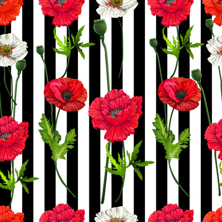 Poppy flowers seamless,Floral pattern on white and black stripe backgroundのイラスト素材
