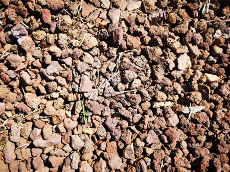Soil and stone mix soil textureの写真素材