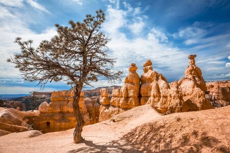 Trekking Queens Garden Trail in Bryce National Park, Utah. United Statesの写真素材