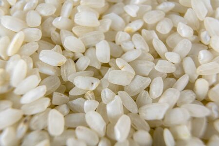 Detail of texture of beautiful rice grains, macro photographyの写真素材