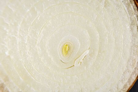 Texture detail of an onion cut in half, macro photographyの写真素材
