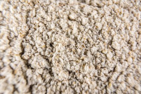 Close up detail of flour, macro photographyの写真素材