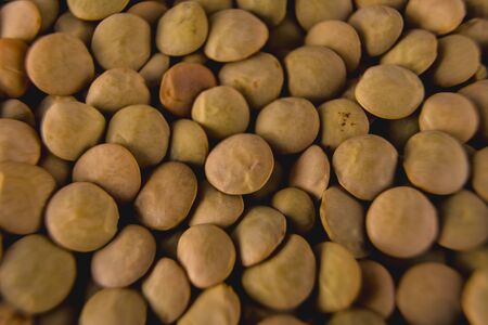 Lentil texture, macro photographyの写真素材