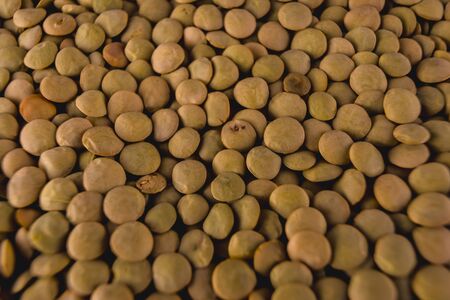 Detail of beautiful lentils with macro photography, food photographyの写真素材