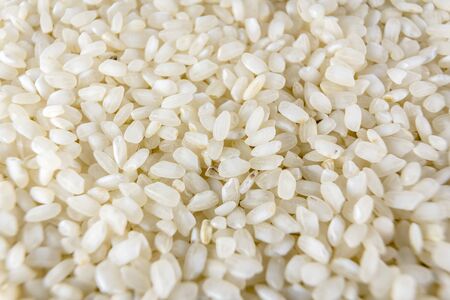 Rice grains photographed with macro photography, food photographyの写真素材