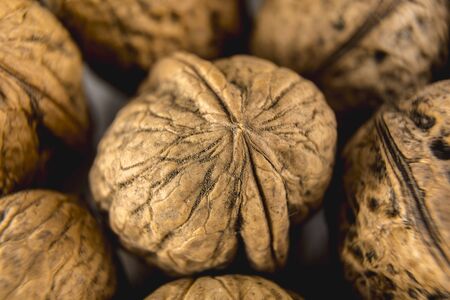 Chestnuts photographed with macro photographyの写真素材