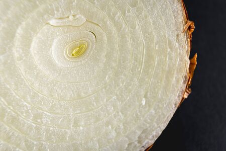 Onion cut in half photographed with macro photographyの写真素材