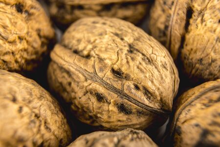 Chestnut textures photographed with macro photographyの写真素材