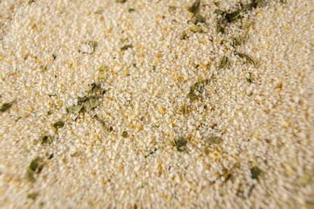 Breadcrumb powder with parsley photographed with macro photographyの写真素材