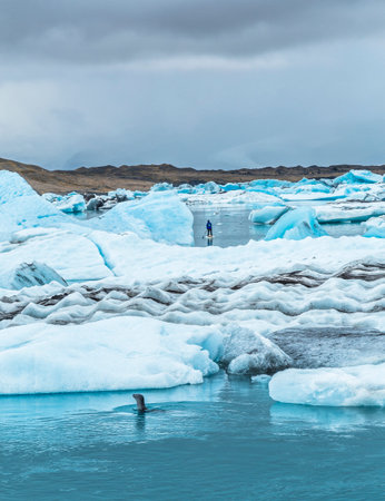 A seal and a young man paddle surfing on Jokulsarlon Ice Lake in the Golden Circle of southern...