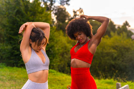 Caucasian blonde girl and dark-skinned girl with afro hair doing stretching before starting sports in the park. Healthy life, fitness, fitness girls, gray and red sport outfitsの写真素材