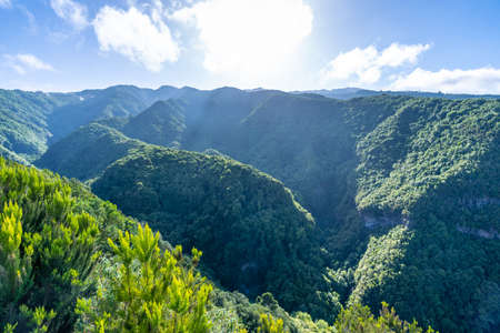 Viewpoint of the Cubo de la Galga natural park on the northeast coast on the island of La Palma, Canary Islands. Spainの写真素材