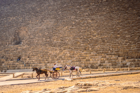 A young tourist at the Pyramid of Cheops the largest pyramid. The pyramids of Giza the oldest funerary monument in the world. In the city of Cairo, Egyptの写真素材