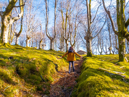 A young woman walking along the path of the Oianleku beech forest, in the town of Oiartzun, Gipuzkoa. Basque Countryの写真素材