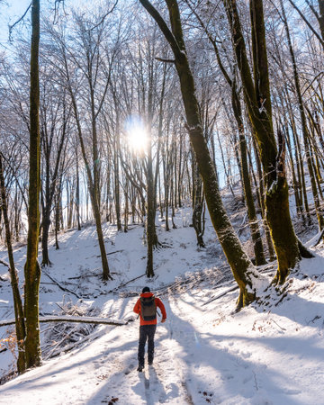 Beautiful snow-covered forest of the Artikutza natural park in oiartzun near San SebastiÃ¡n,...