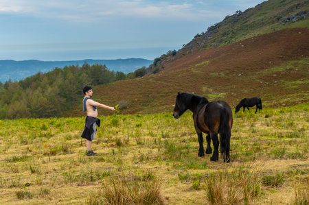 A young man with a wild black horse on top of Mount Adarra in the town of Urnieta near San Sebastian, Gipuzkoa. Basque Countryの写真素材