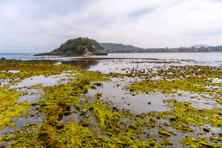 Ondarreta beach at low tide in San SebastiÃ¡n. Province of Gipuzkoa, Basque Country. Spainの写真素材
