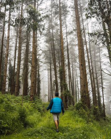 A young man walking in the blue jacket in the foggy forest. Spring on the path from Ispaster to...