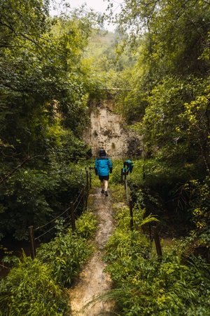 Two hikers in raincoats walking through a forest in the rain. Spring on the road from Ispaster to Lekeitio, landscapes of Bizkaia. Basque Countryの写真素材
