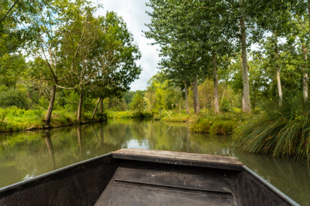 Sailing by boat on the natural water channels between La Garette and Coulon, Marais Poitevin the Green Venice, near the city of Niort, Franceの写真素材