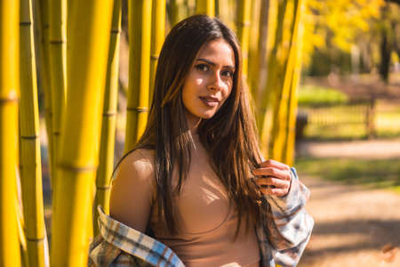 Autumn lifestyle, young Caucasian brunette girl in a plaid wool sweater in a bamboo forestの写真素材