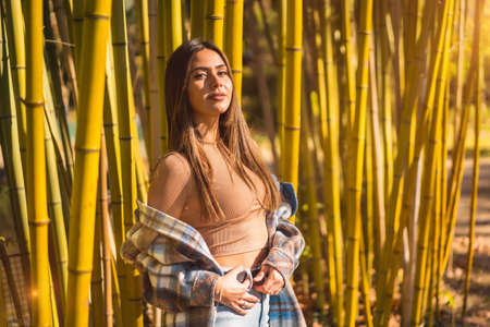 Autumn lifestyle in a bamboo forest, young Caucasian brunette girl in a plaid wool sweater, looking to the leftの写真素材