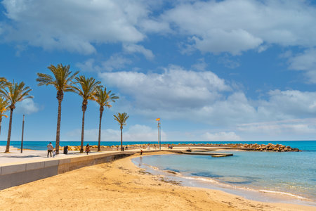 Beach with palm trees in the coastal city of Torrevieja, Alicante, Valencian Community. Spain, Mediterranean Seaのeditorial素材