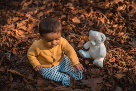 Park in an autumn sunset, six-month-old baby sitting in the leaves of the trees with a white teddy bearの写真素材