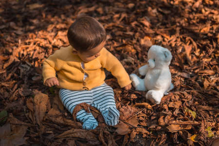 Six month old baby sitting in the leaves of the trees with a white teddy bear in the park on an autumn sunsetの写真素材