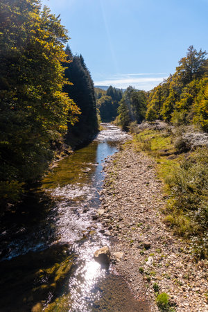 Irati forest or jungle in autumn, river towards the Irabia reservoir. Ochagavia, northern Navarra in Spainの写真素材