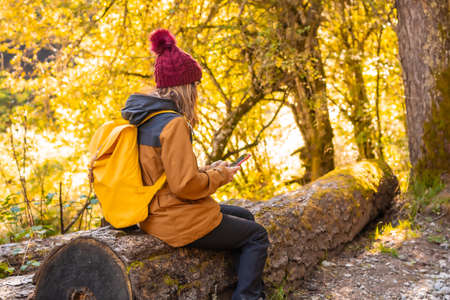 Irati jungle or in autumn, lifestyle, a young hiker reading the mobile in the forest. Ochagavia, northern Navarra in Spain, Selva de Iratiの写真素材
