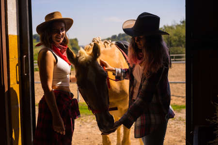 Silhouette of two cowgirl women entering the stable with a horse from a horse, with South American outfitsの写真素材