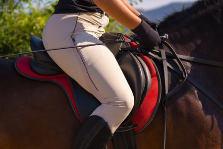 Unrecognizable girl riding on a horse riding with a brown horse, dressed black rider with safety capの写真素材
