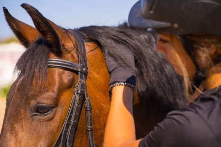Caucasian blonde girl on horseback stroking a brown horse, dressed in black rider with safety hatの写真素材