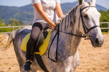 Unrecognizable blonde girl riding on a white horse, dressed black rider with safety hatの写真素材